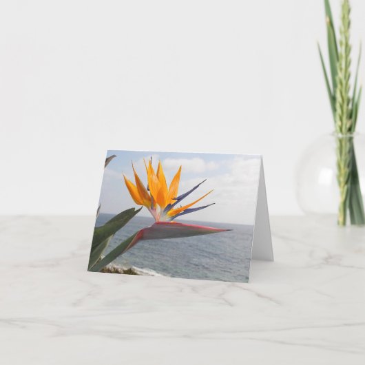 Carte Oiseau du Paradis au paradis (Devant)