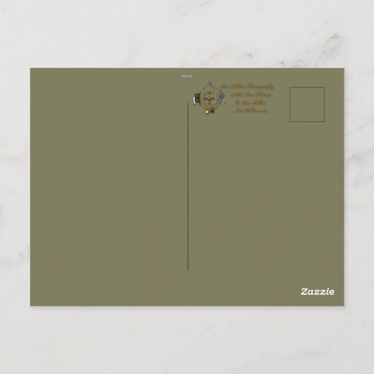 Carte Oiseau Mockingbird (Dos)