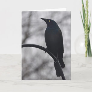 Carte Oiseau noir