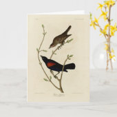 Carte Oiseau noir à ailes rouges - Oiseaux d'Amérique d' (Fleur jaune)