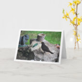 Carte Oiseau noir sur rocailles (Fleur jaune)