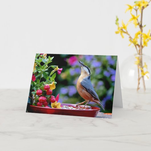 Carte Oiseau nuthatch eurasien (Fleur jaune)
