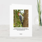 Carte Oiseau Pic (Dos)