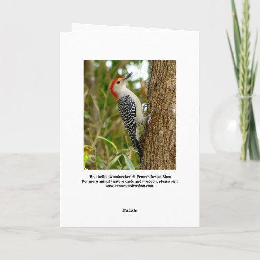 Carte Oiseau Pic (Dos)