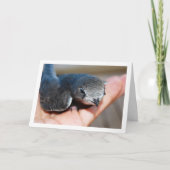 Carte Oiseau rapide à la main (Devant)