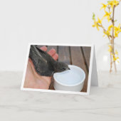 Carte Oiseau rapide buvant dans un bol (Fleur jaune)