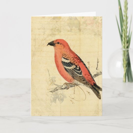 Carte Oiseau rose vintage (Devant)