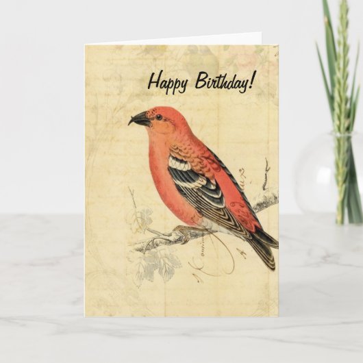 Carte Oiseau Rose Vintage, Anniversaire (Devant)