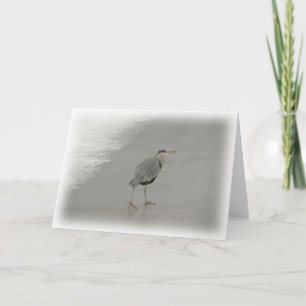 Carte Oiseau Sur La Plage Photo