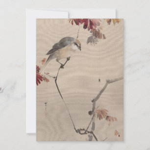 Carte Oiseau sur l'araignée d'observation des branches