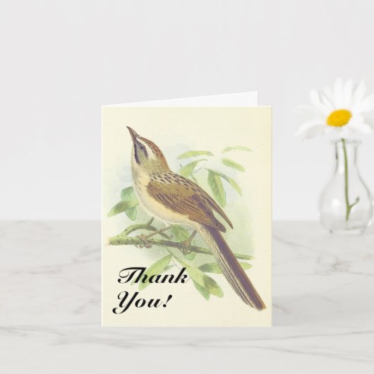 Carte Oiseau sur une branche d'arbre, "Merci !" (Petite plante)