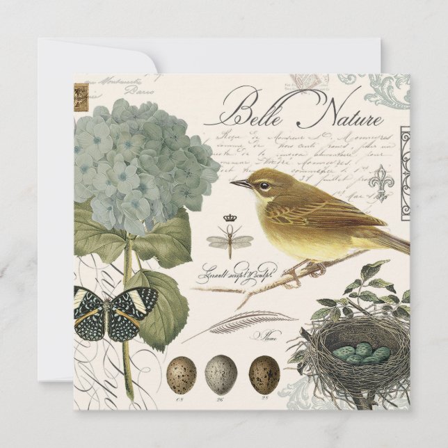 Carte oiseau vintage et nid (Devant)