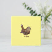 Carte Oiseau Wren (Troglodytes Troglodytes) (Debout devant)