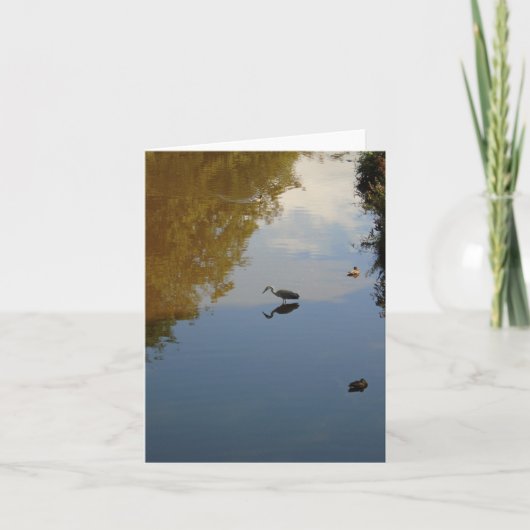 Carte Oiseaux aquatiques dans le parc Pollok, Glasgow (Devant)