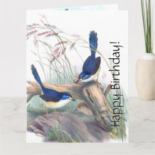 Carte Oiseaux bleus Wren Flore Fleurs sauvages Anniversa