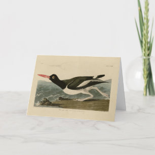 Carte Oiseaux d'Amérique d'Audubon