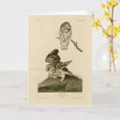 Carte Oiseaux d'Amérique d'Audubon (Fleur jaune)