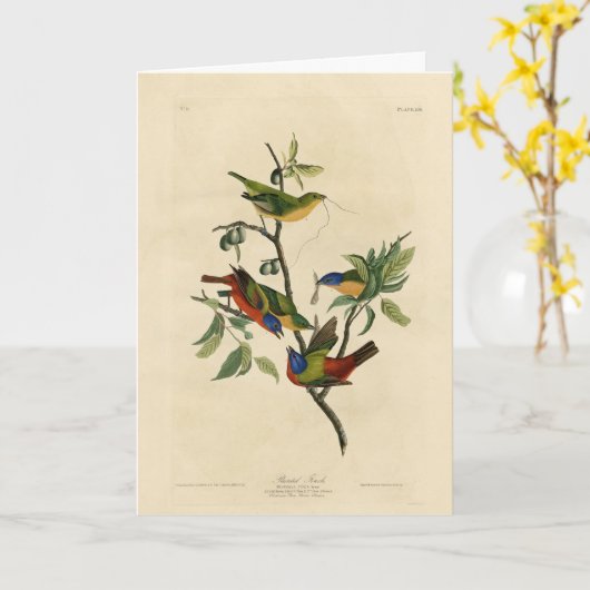 Carte Oiseaux d'Amérique d'Audubon (Fleur jaune)