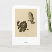 Carte Oiseaux d'Amérique du Chouette boréale de Tengmalm (Dos)