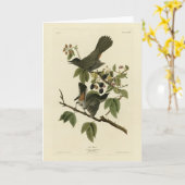 Carte Oiseaux de chats (Colibri gris) Oiseaux d'Amérique (Fleur jaune)