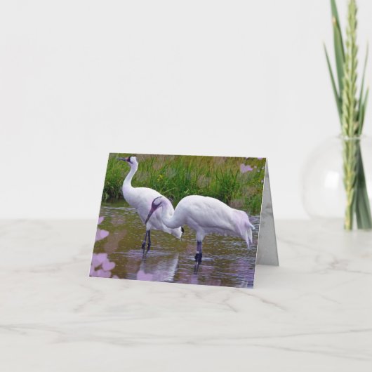Carte Oiseaux de l'amour (Devant)