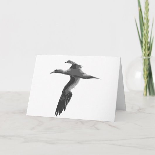 Carte Oiseaux de mer abstraits (Devant)