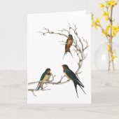 Carte Oiseaux d'hirondelle sur une branche nue (Fleur jaune)