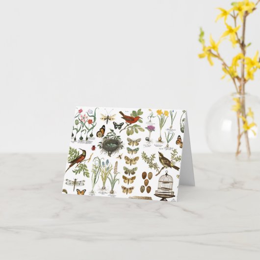 Carte oiseaux et fleurs vintages (Fleur jaune)