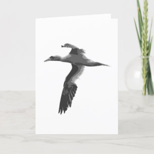 Carte Oiseaux marins Abstraits