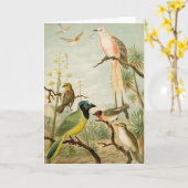 Carte Oiseaux nord-américains | Anton Goering (Fleur jaune)