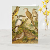 Carte Oiseaux nord-américains | Anton Goering (Fleur jaune)