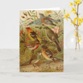 Carte Oiseaux nord-américains | Tzel Gustav Mü (Fleur jaune)