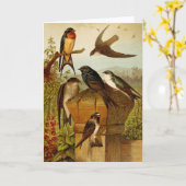 Carte Oiseaux nord-américains | Tzel Gustav Mü (Fleur jaune)