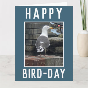 Carte Oiseaux ou amateurs d'oiseaux Anniversaire