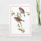 Carte Oiseaux rouges sur une branche de Berry (Devant)