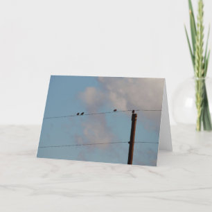 Carte Oiseaux sur fil