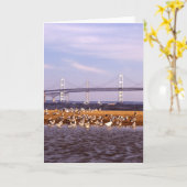 Carte Oiseaux sur la baie de chesapeake (Fleur jaune)