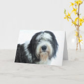 Carte Old English Sheepdog (Fleur jaune)