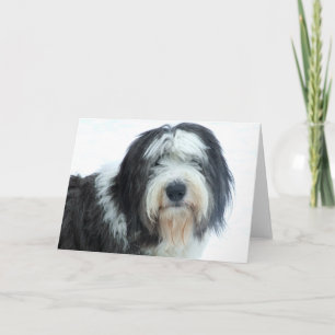 Carte Old English Sheepdog