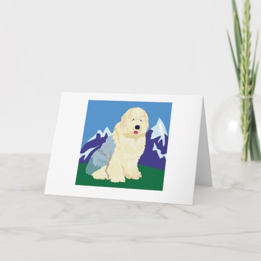 Carte Old English Sheepdog (Devant)