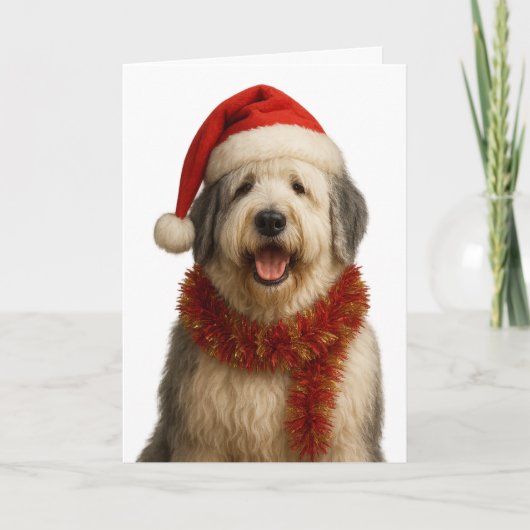 Carte Old English Sheepdog in a Santa hat Christmas card (Devant)
