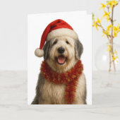 Carte Old English Sheepdog in a Santa hat Christmas card (Fleur jaune)