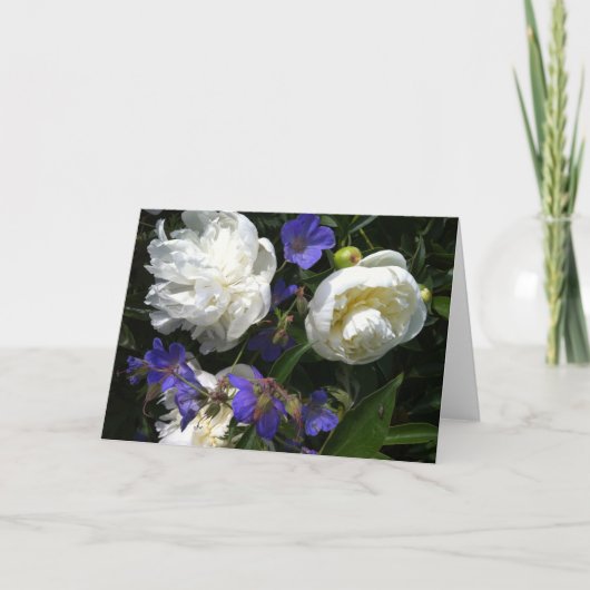 Carte Old Masters Garden Note (Devant)