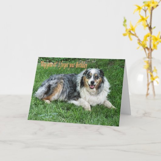 Carte Ol'Duke (Fleur jaune)