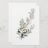 Carte Olive Palestine (Devant / Derrière)