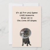 Carte Oliver Le Cône de chats de la honte Appartement Ob (Dos)