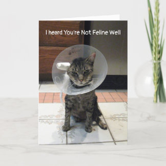 Carte Oliver n'est pas Feline bien - Cat Get Well Card