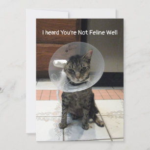 Carte Oliver's Not Feline Well - Cat Get Well Flat Card