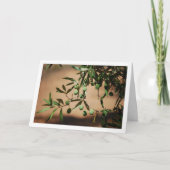Carte Oliviers verts accrochés à l'olivier (Devant)