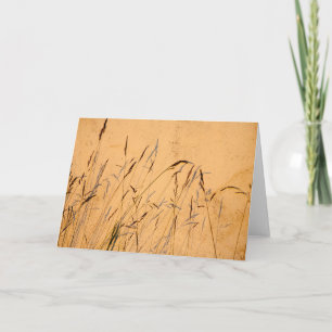 Carte Ombres estivales